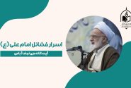 فضائلی از حضرت علی (ع) که حتی دشمنان هم به آن اعتراف کردند!