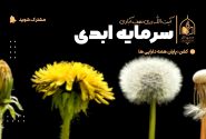سرمایه اصلی انسان، انس با خدا